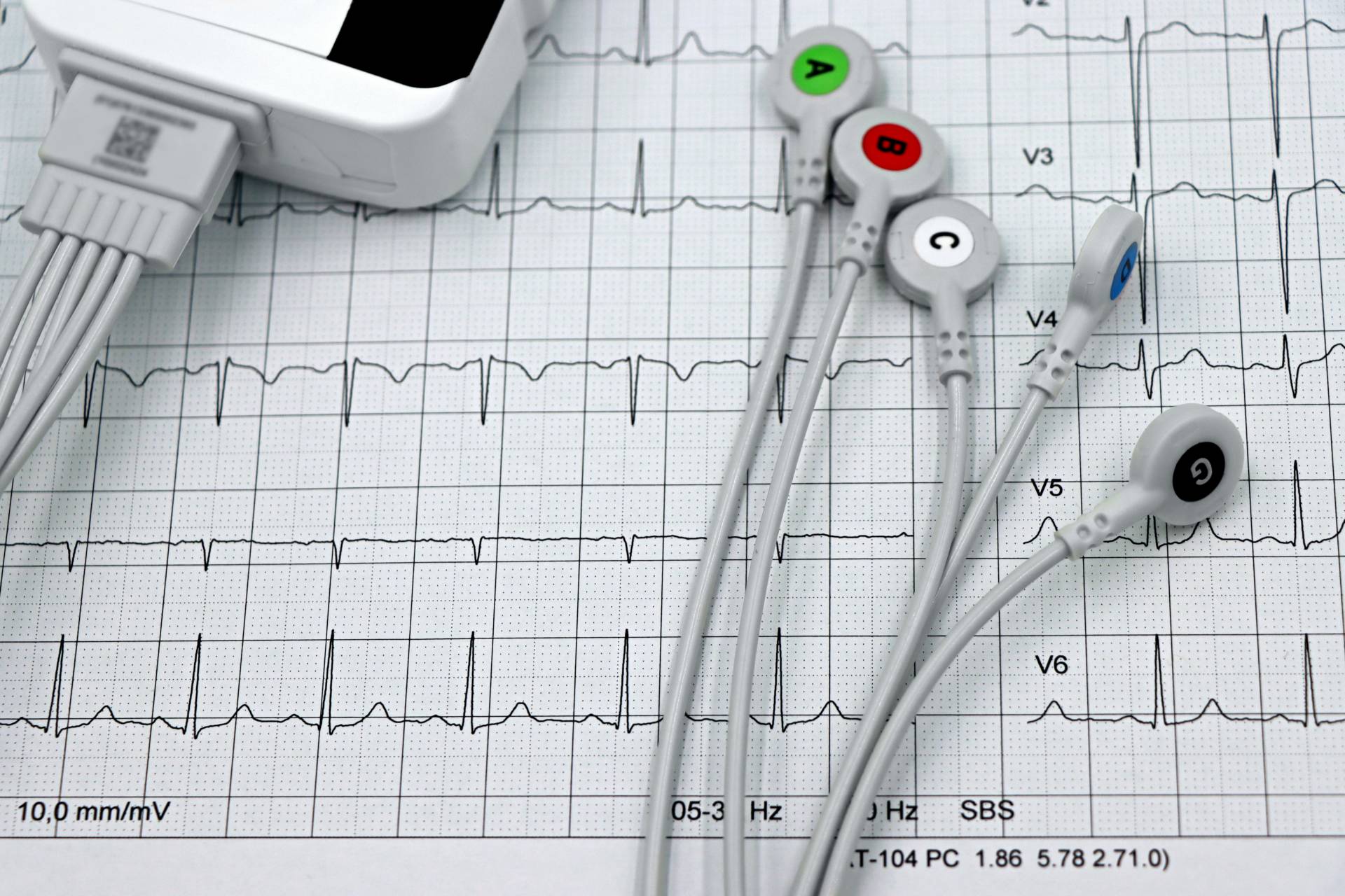 Warm Weather, Healthy Heart: Essential Tips for Cardiovascular Health