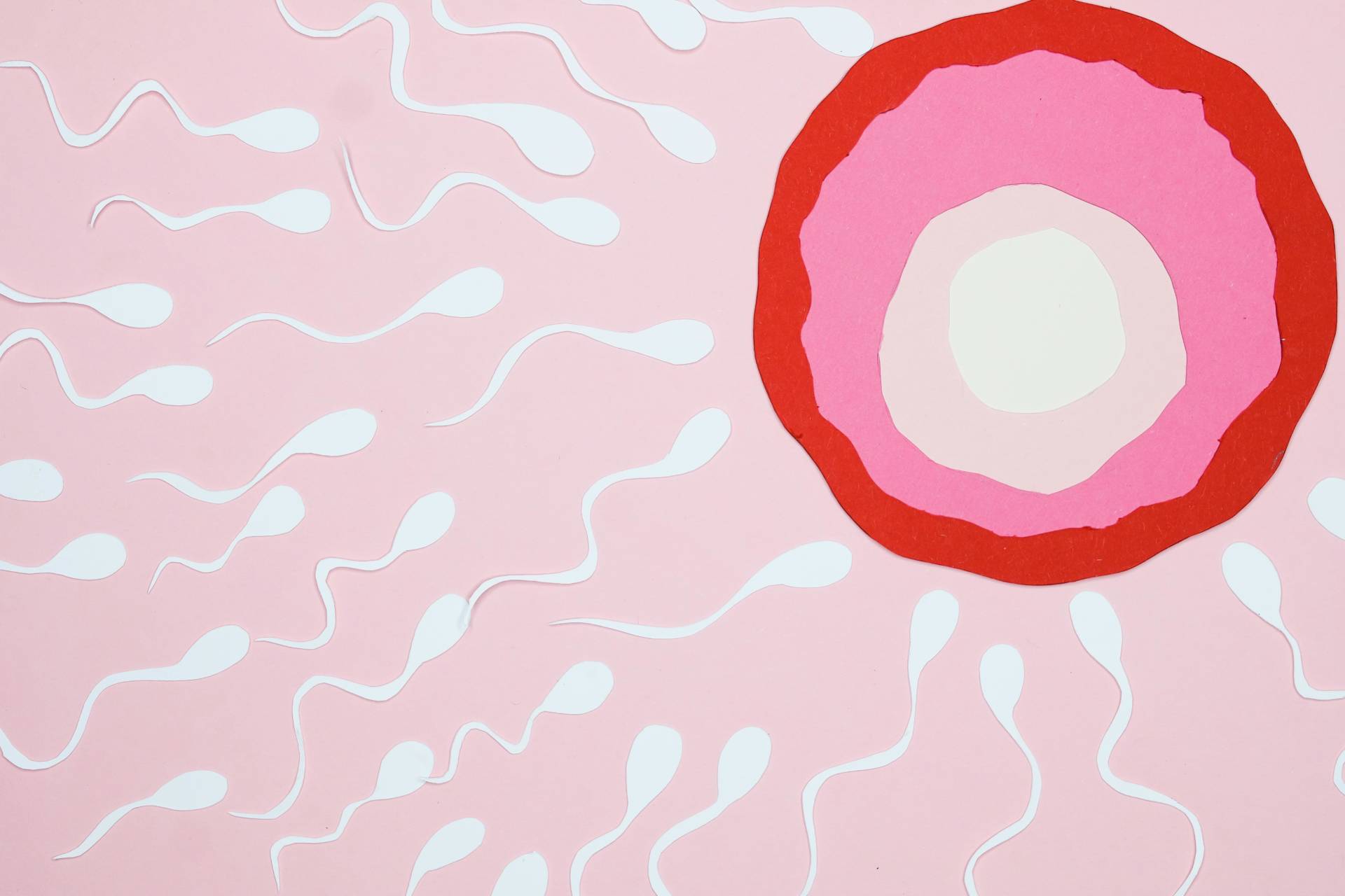 Prioritize Your Sexual Health