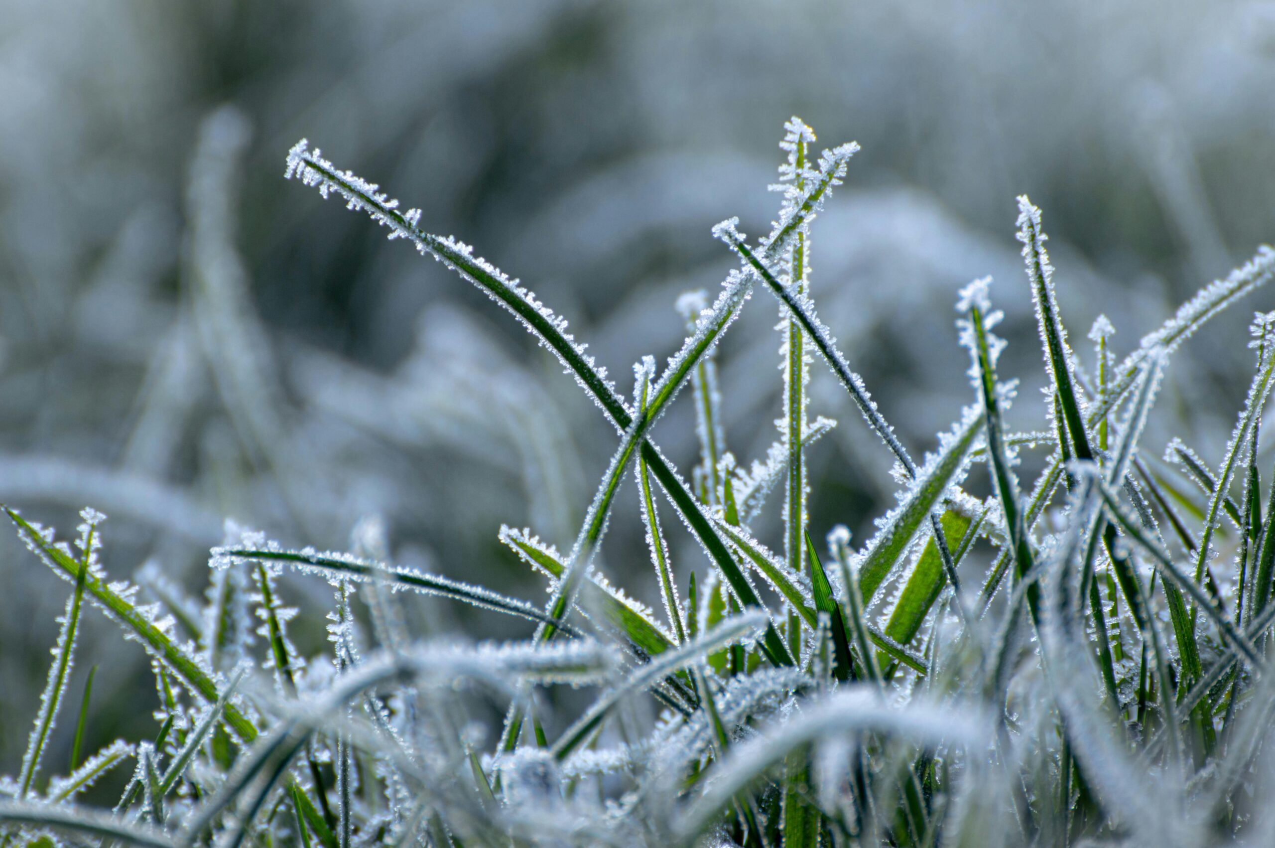 Spring Feels Like a Reset. Your Body Might Disagree.